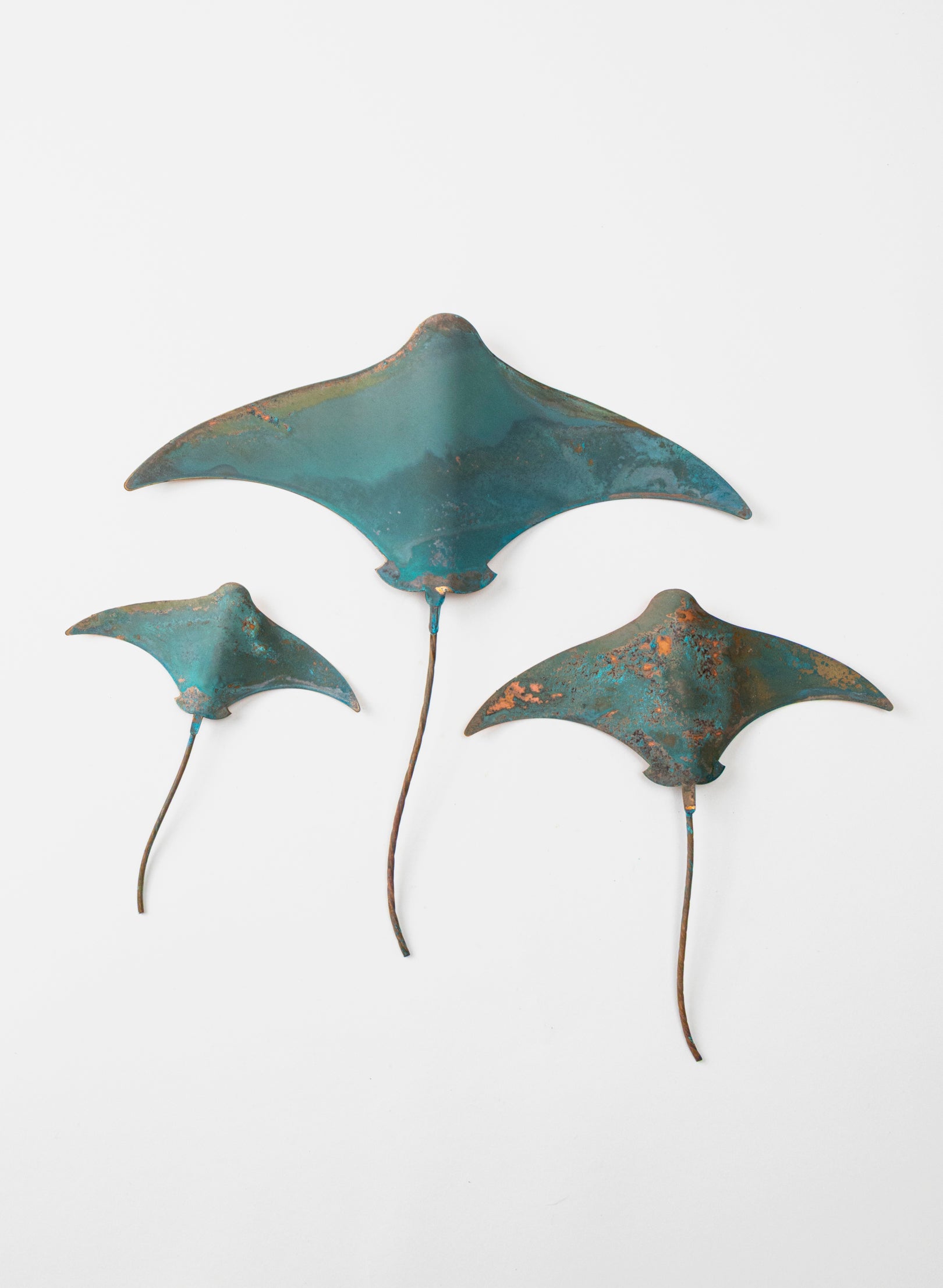 Stingray - Set of 3