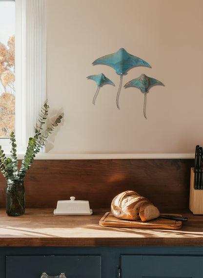 Stingray - Set of 3