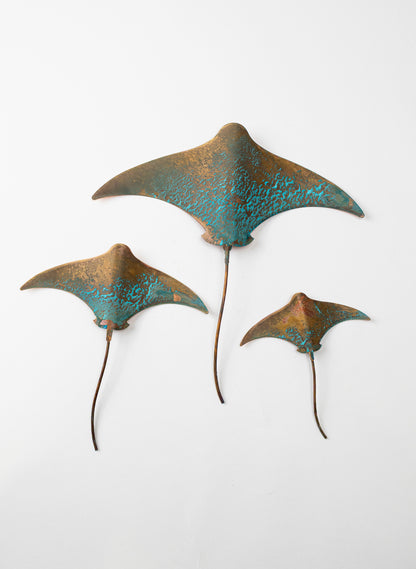 Stingray - Set of 3