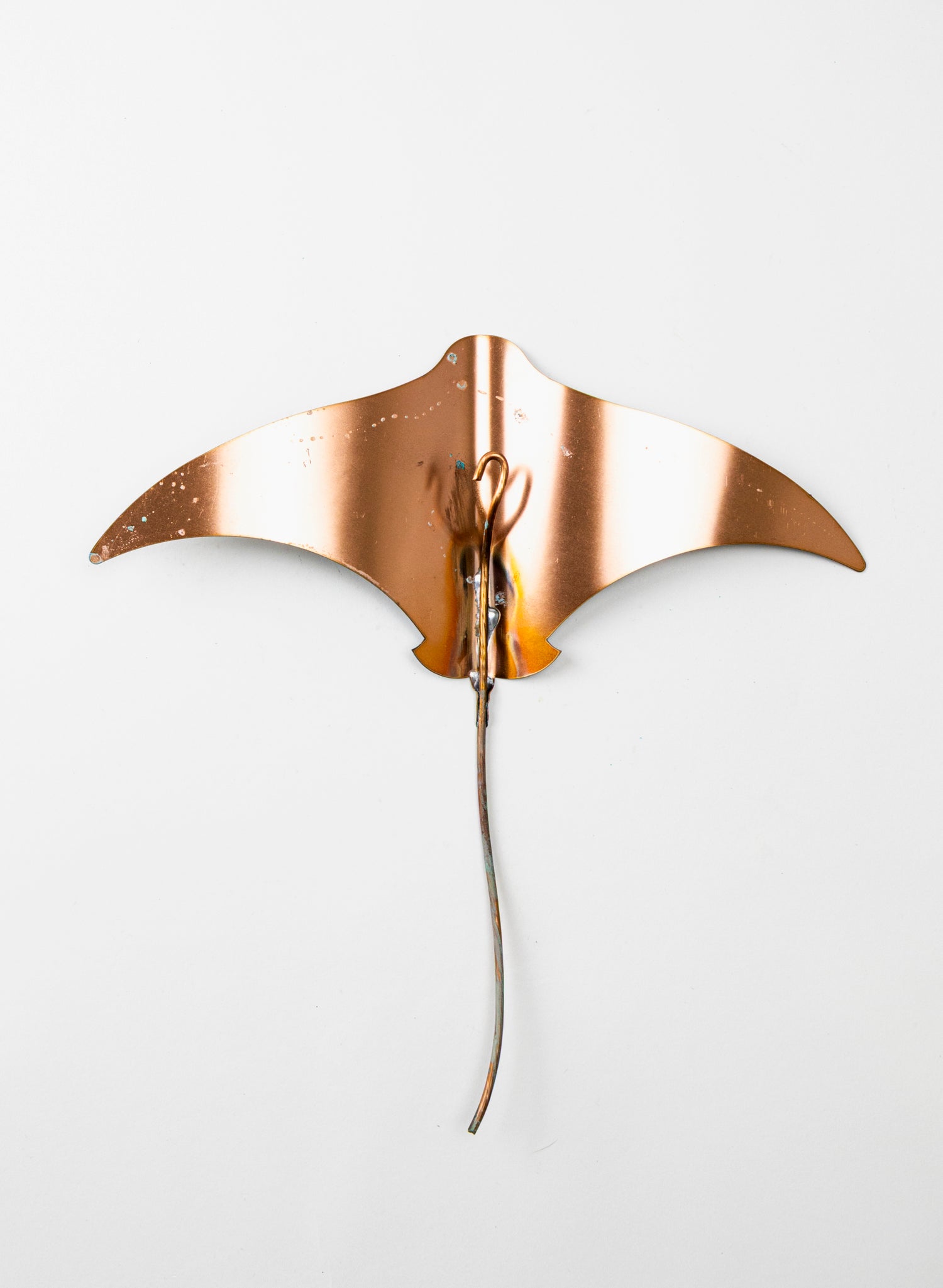 Stingray - Set of 3