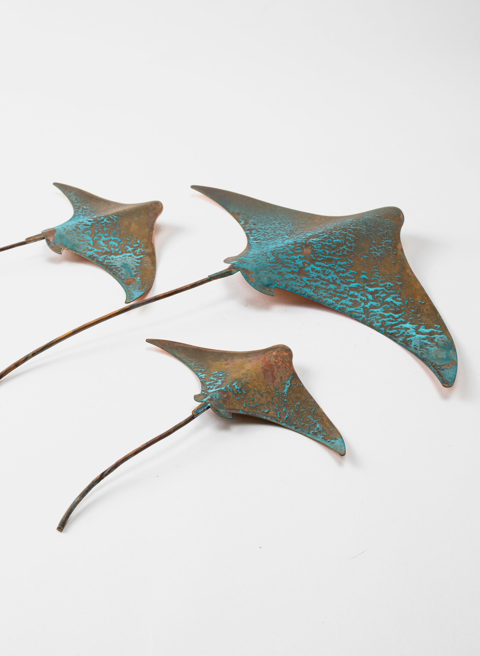 Stingray - Set of 3