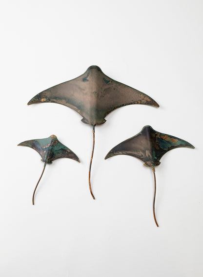 Stingray - Set of 3