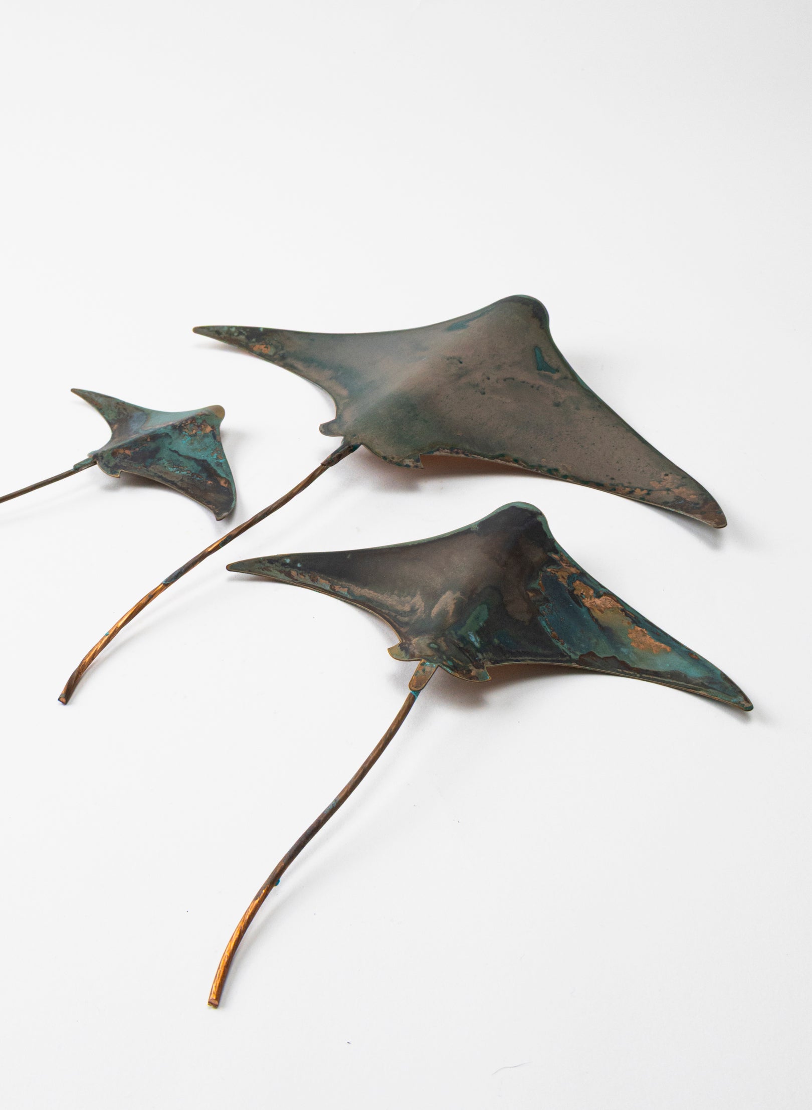 Stingray - Set of 3