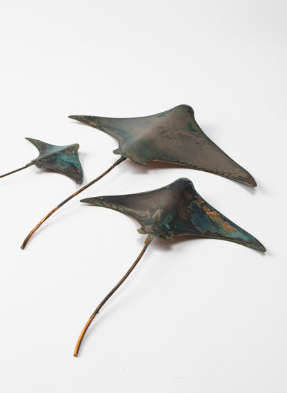 Stingray - Set of 3