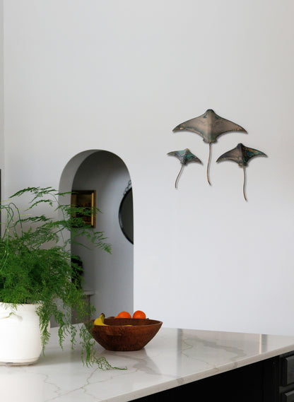 Stingray - Set of 3