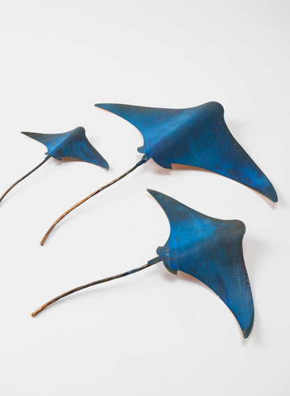 Stingray - Set of 3