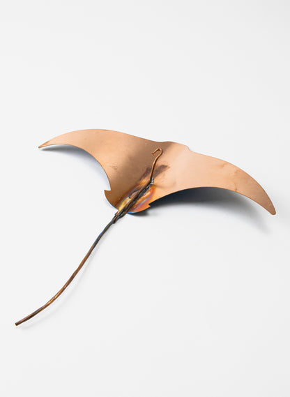 Stingray - Set of 3