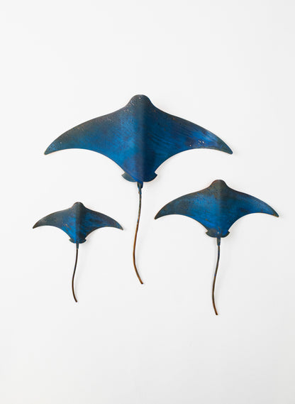 Stingray - Set of 3