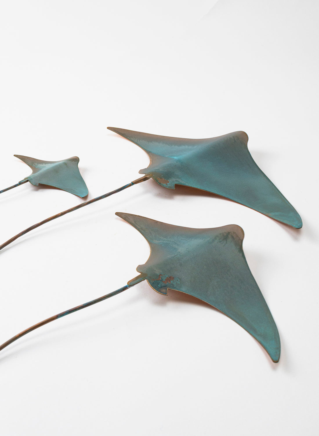 Stingray - Set of 3