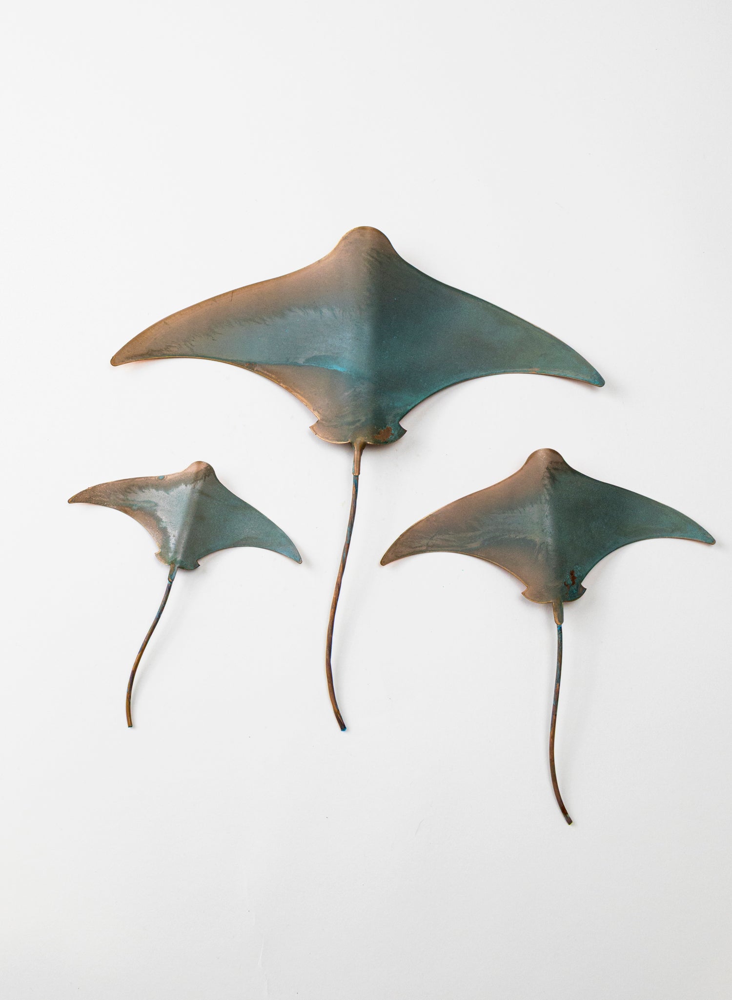 Stingray - Set of 3