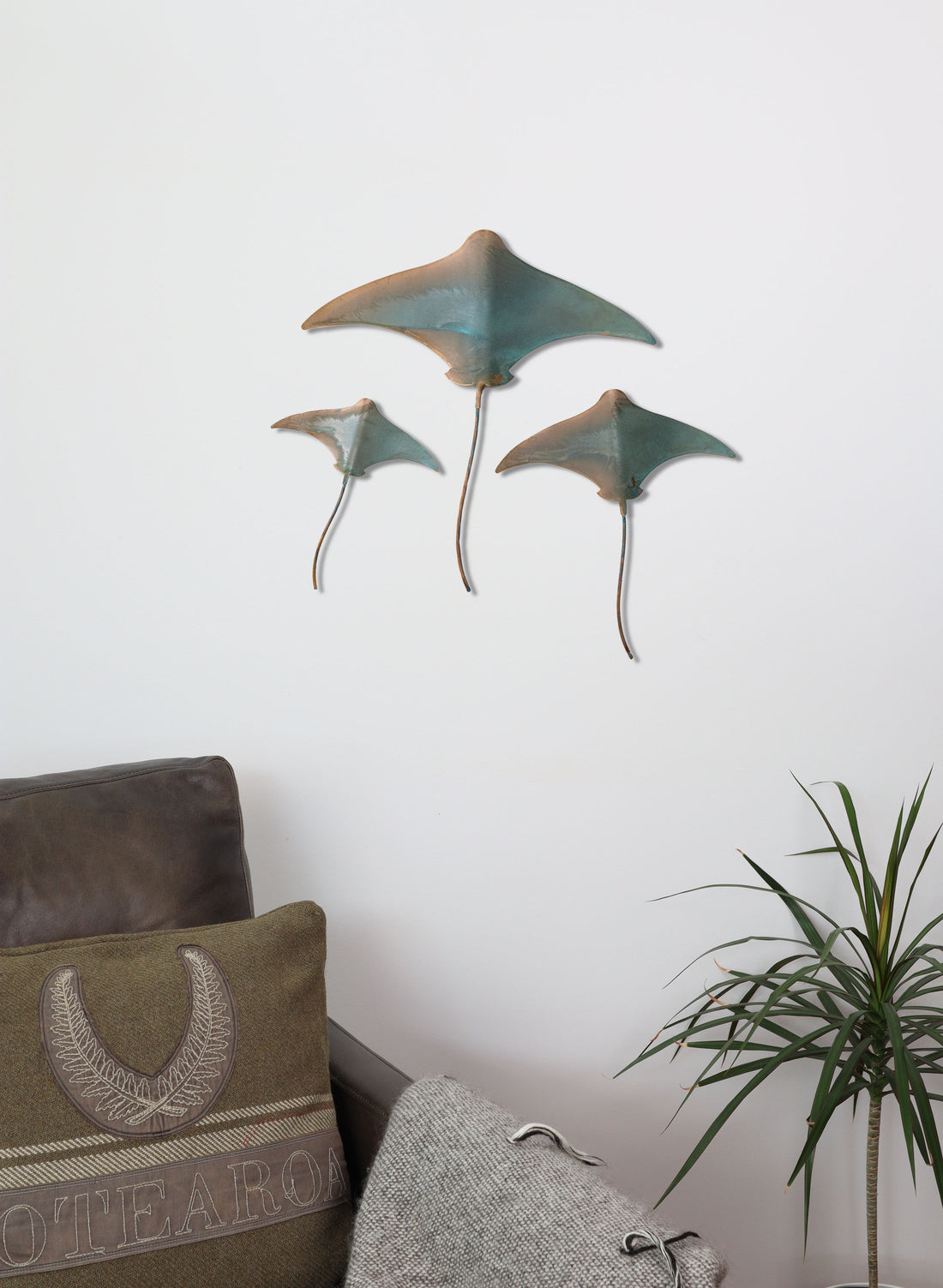 Stingray - Set of 3
