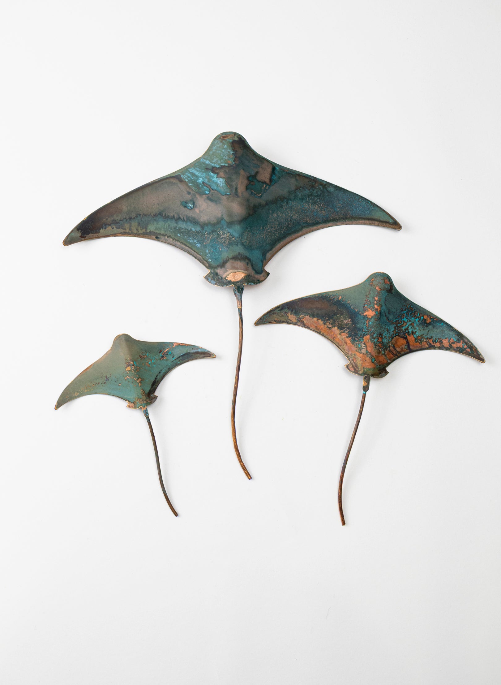 Stingray - Set of 3