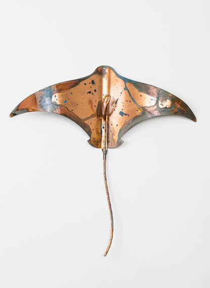 Stingray - Set of 3