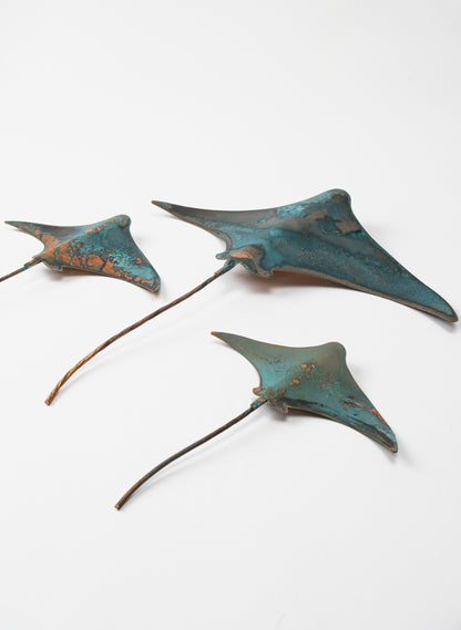 Stingray - Set of 3