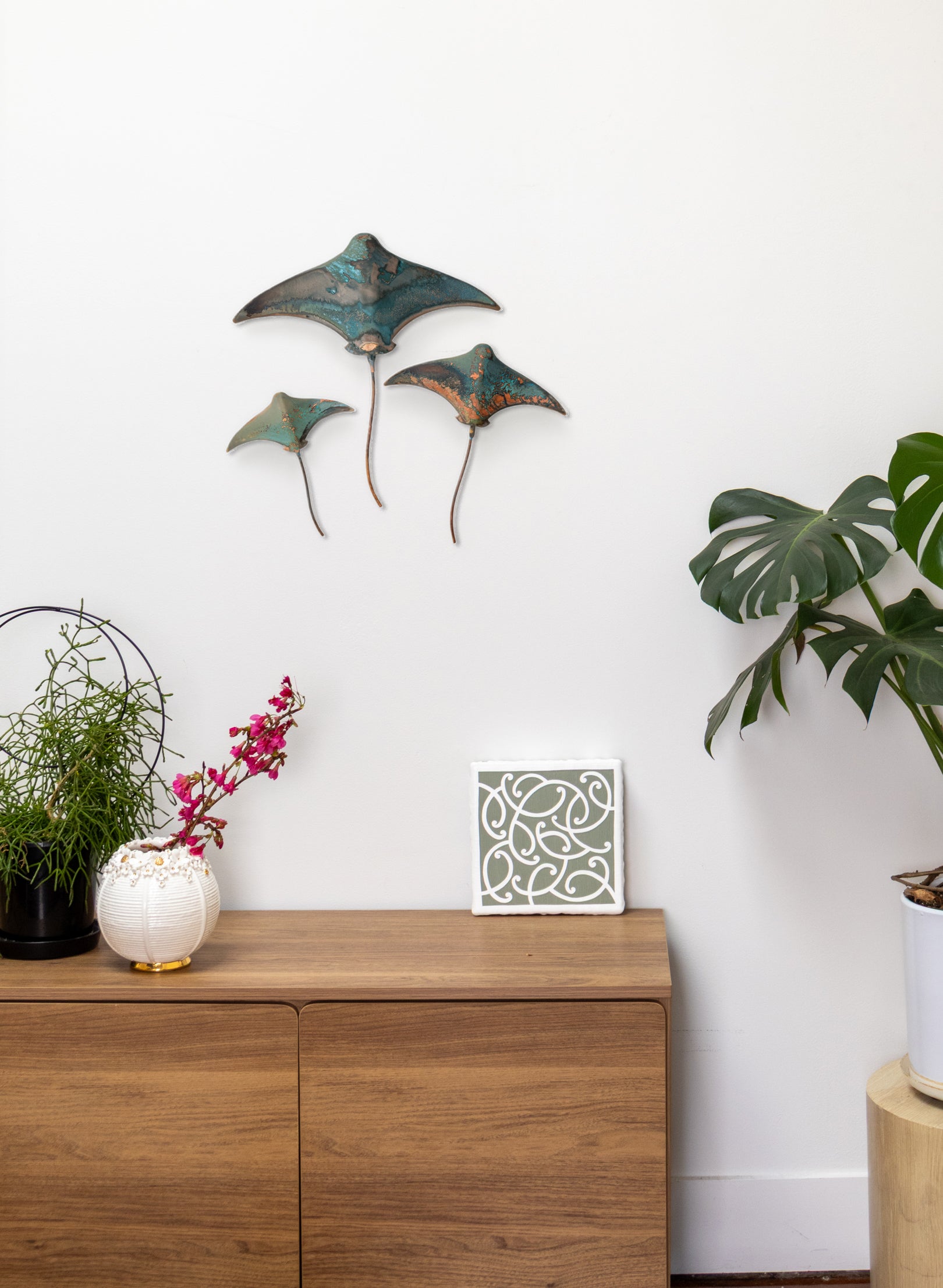Stingray - Set of 3
