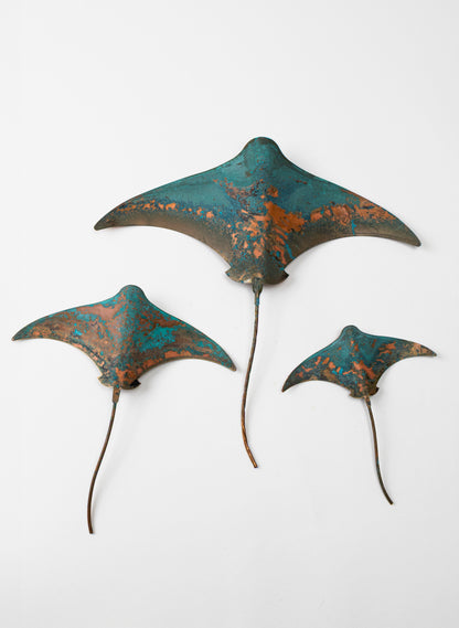 Stingray - Set of 3