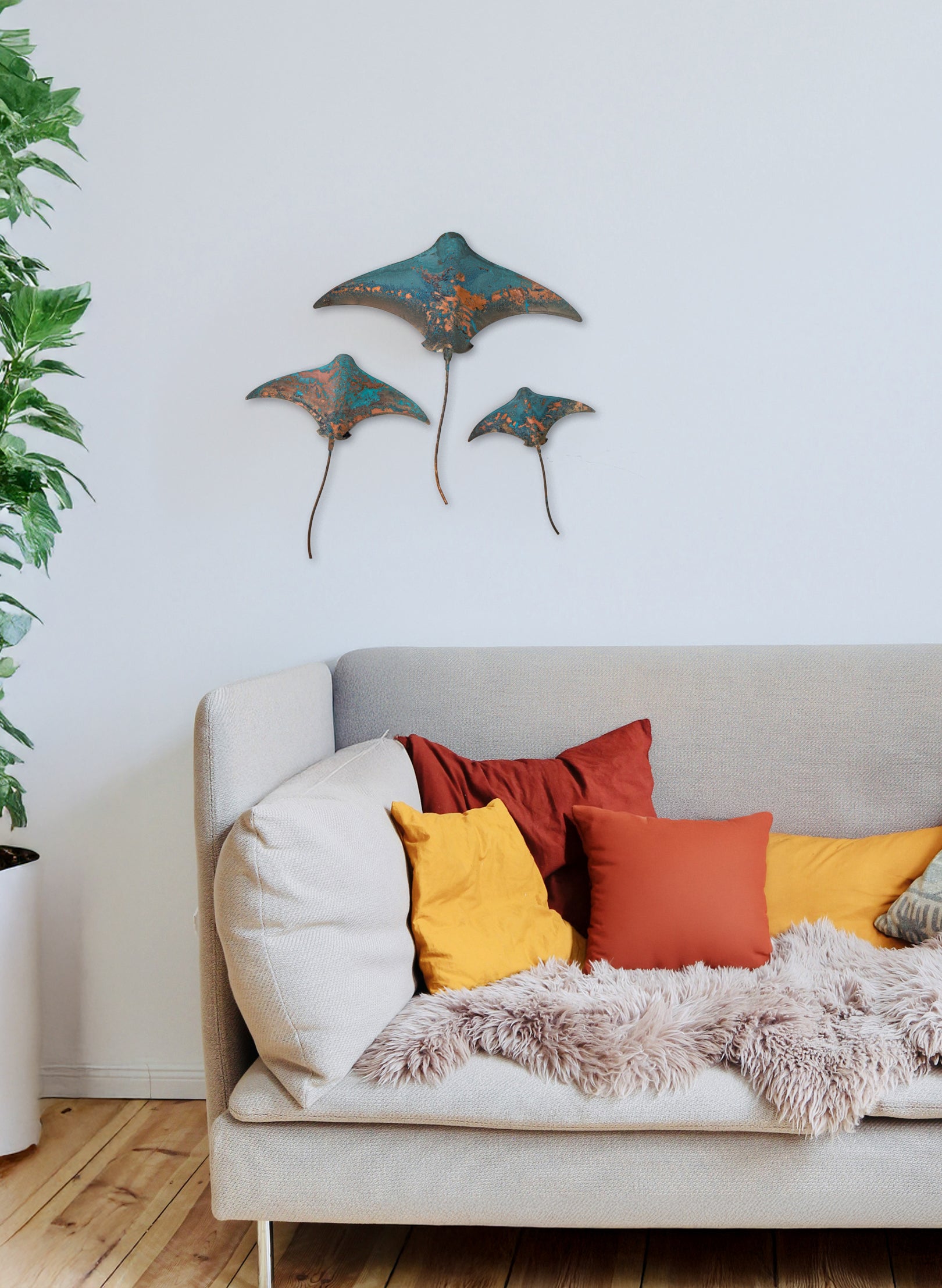 Stingray - Set of 3