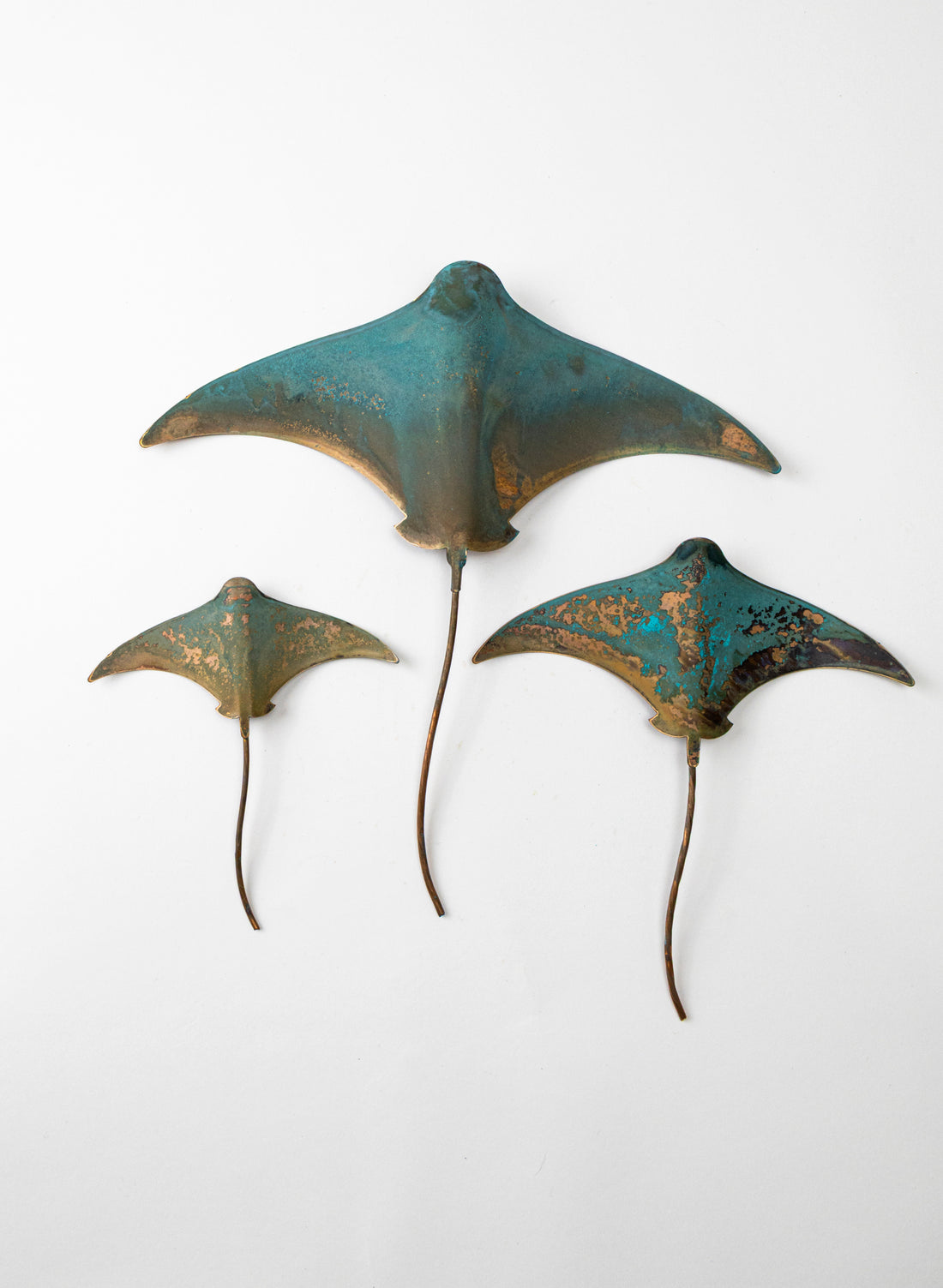 Stingray - Set of 3