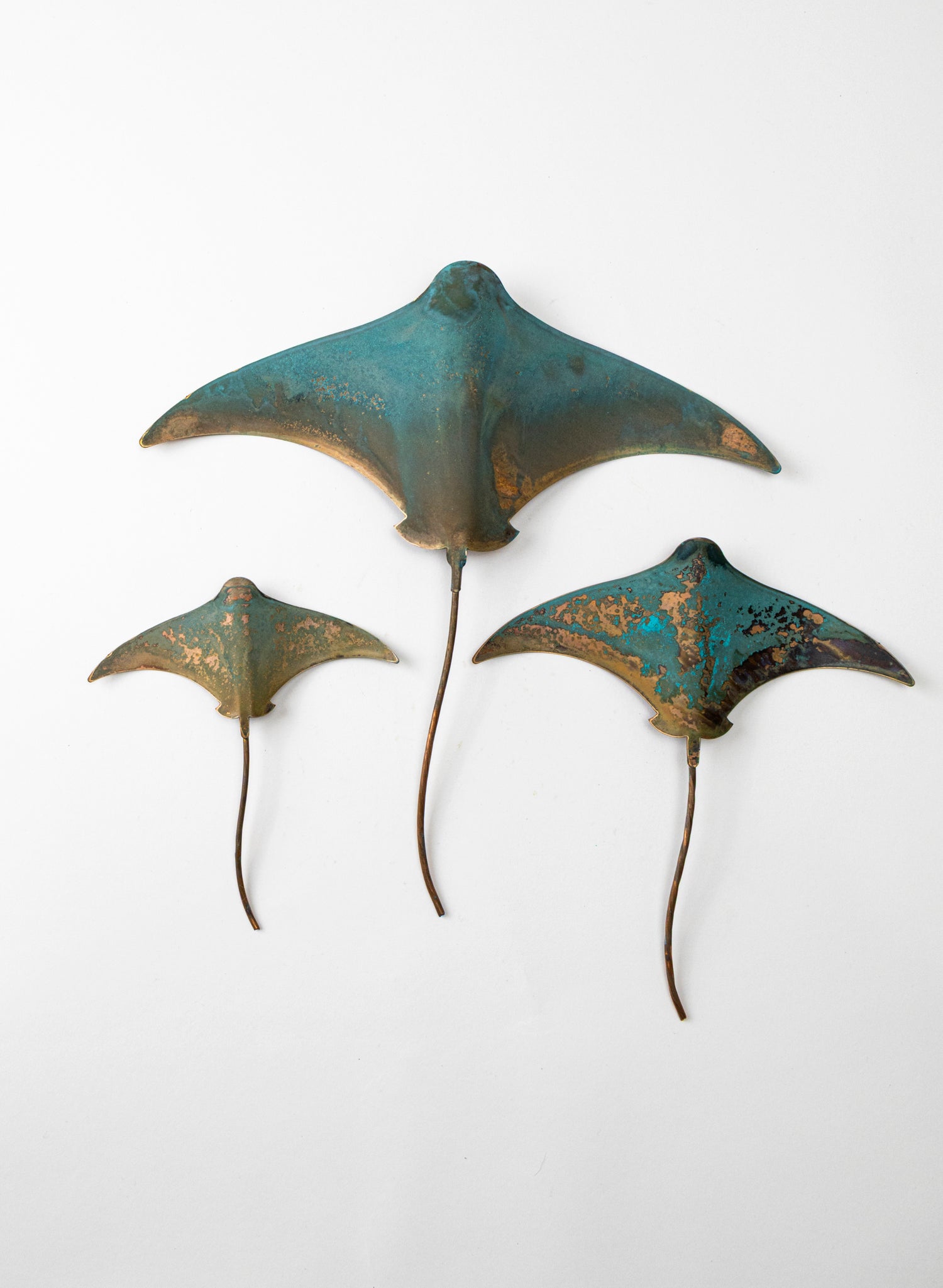 Stingray - Set of 3