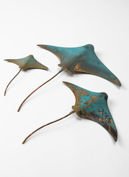 Stingray - Set of 3