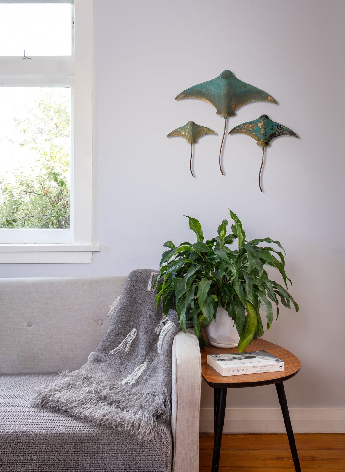 Stingray - Set of 3