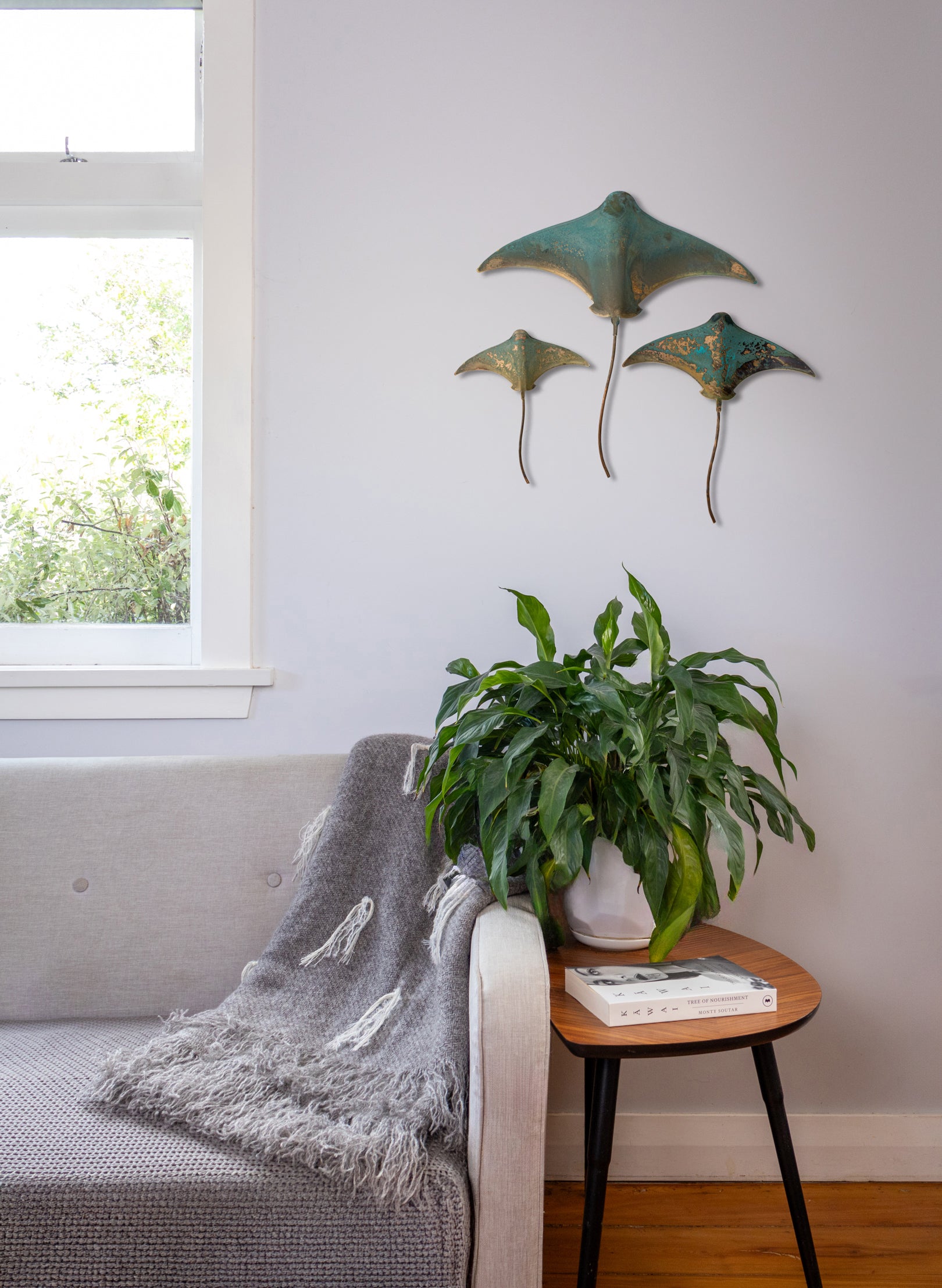 Stingray - Set of 3