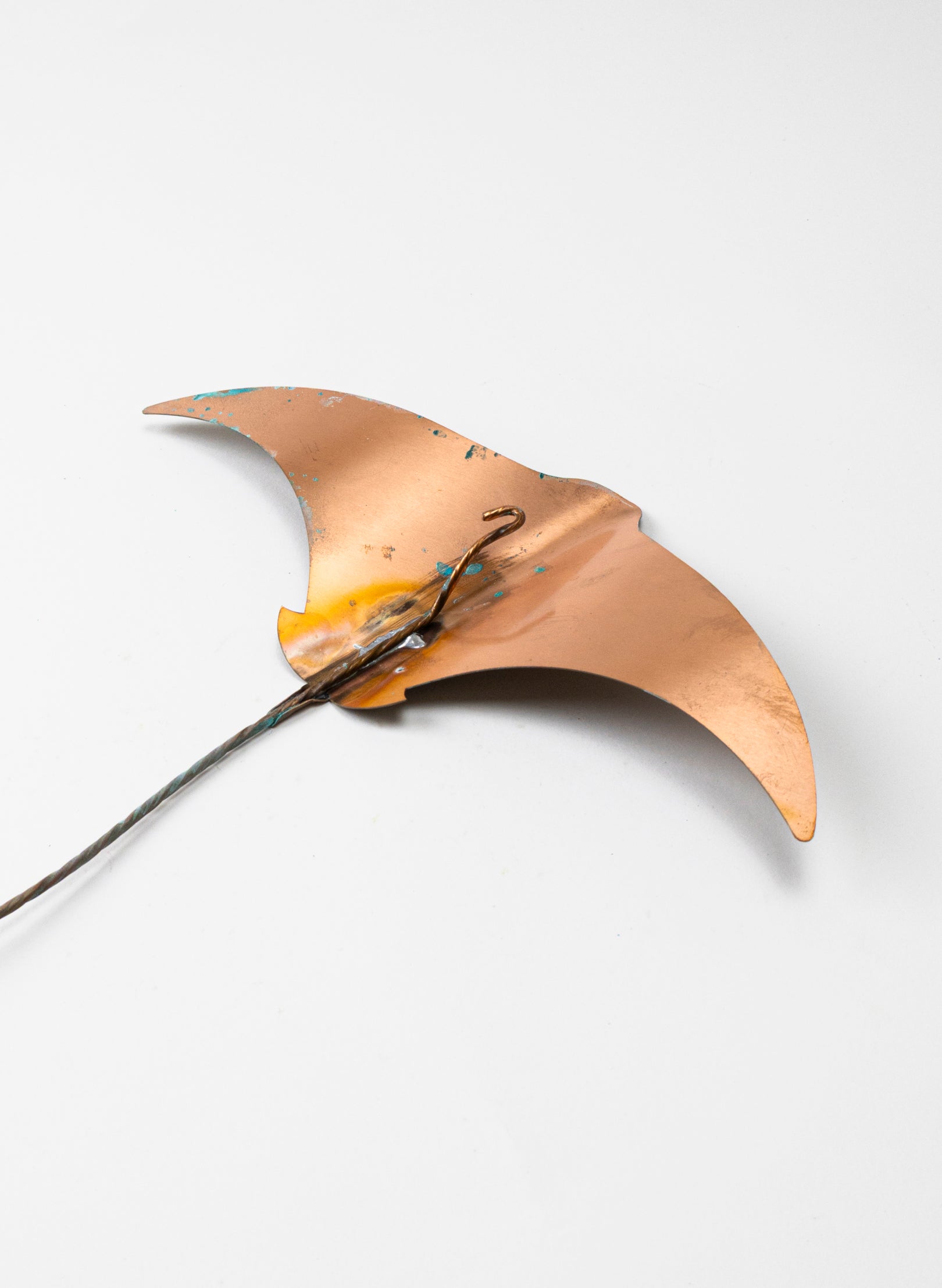 Stingray - Set of 3