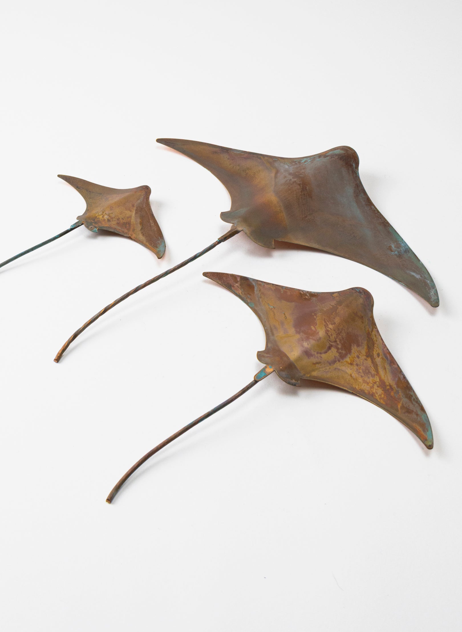 Stingray - Set of 3