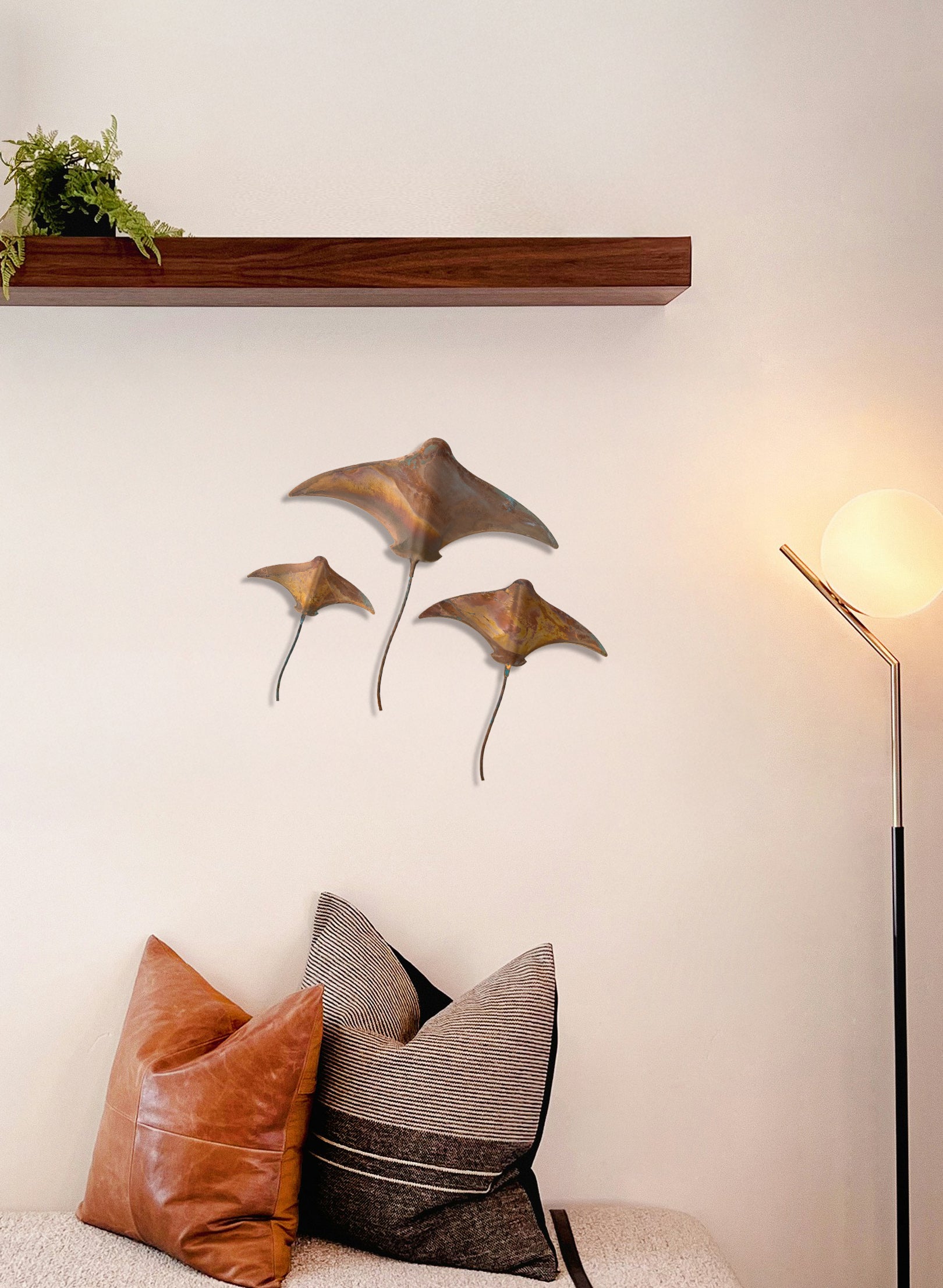 Stingray - Set of 3