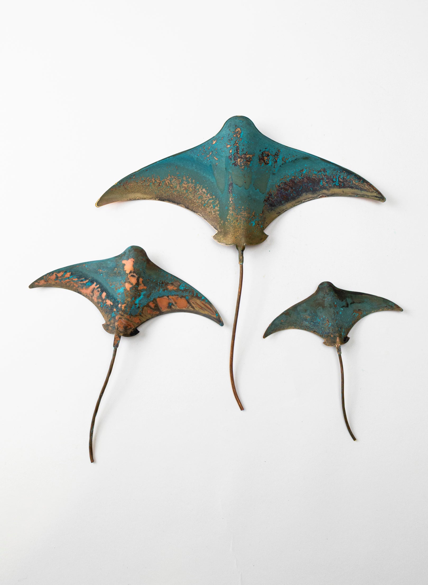 Stingray - Set of 3