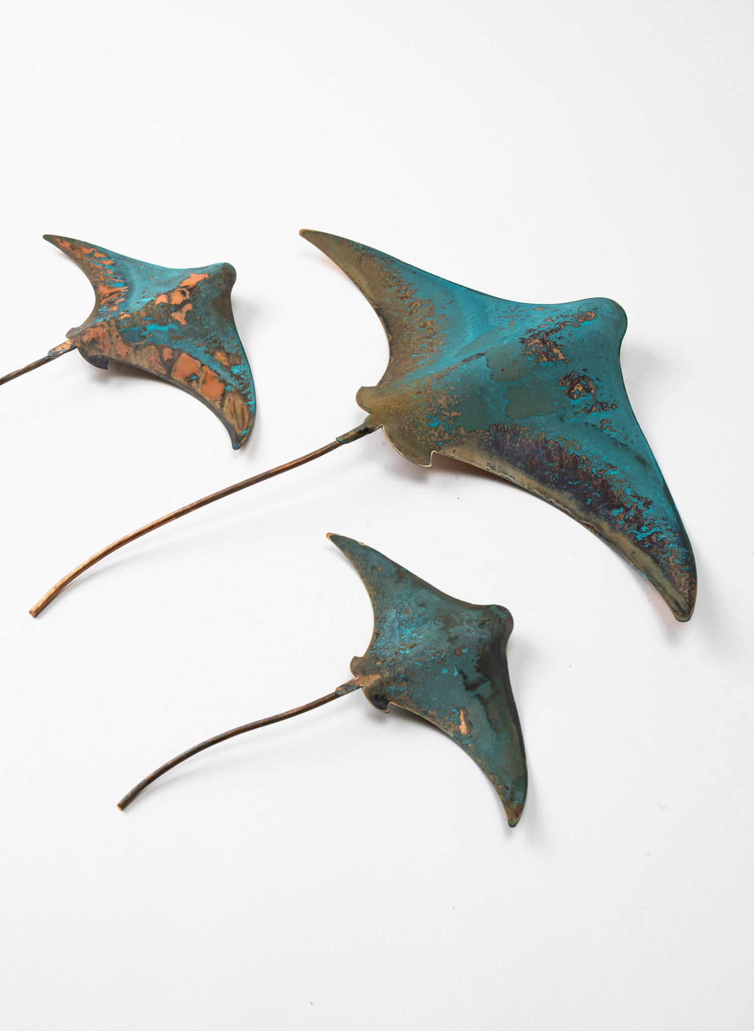 Stingray - Set of 3