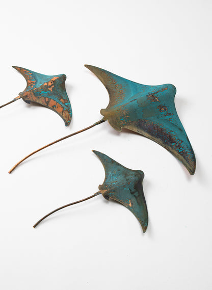 Stingray - Set of 3