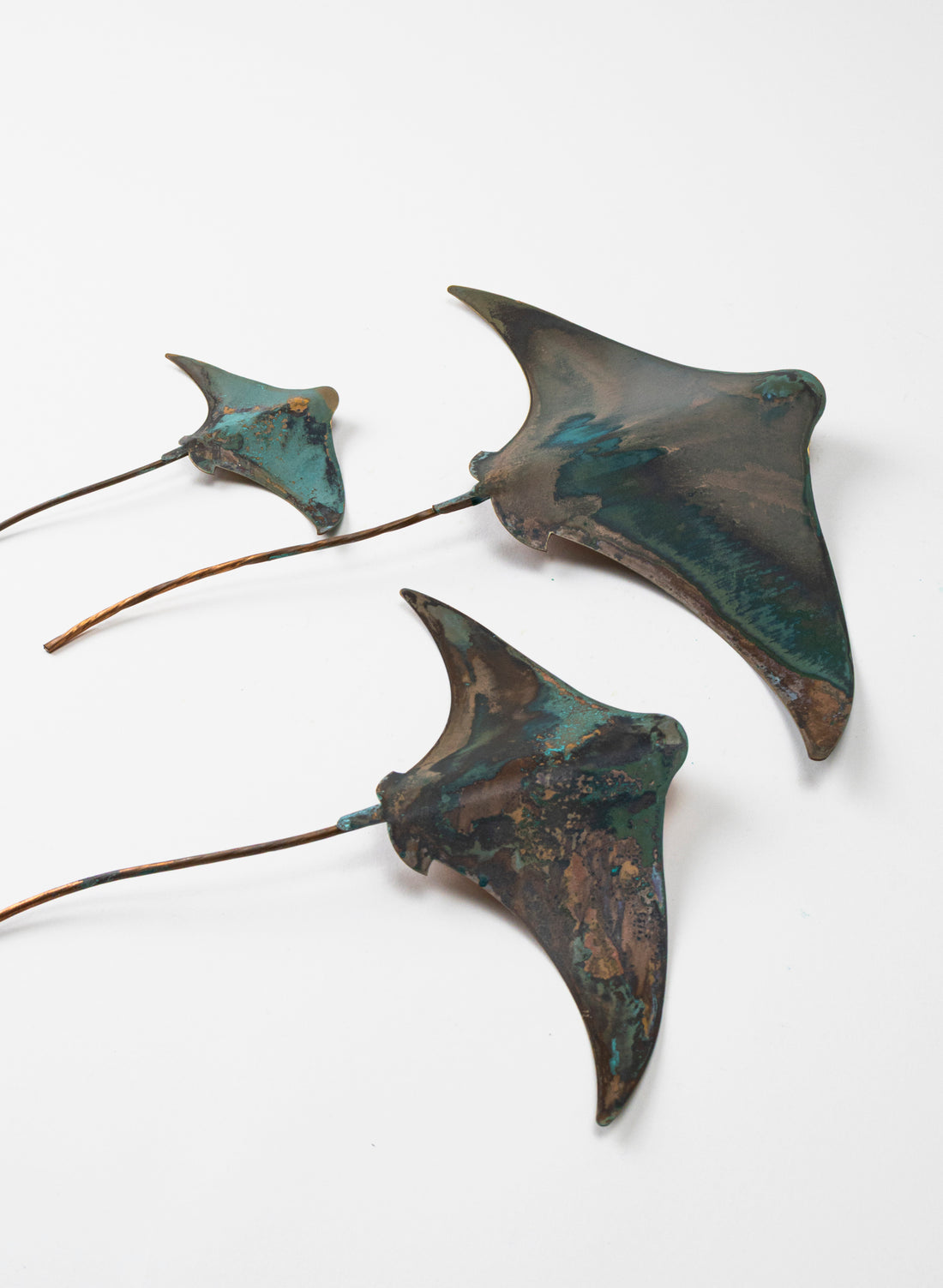 Stingray - Set of 3