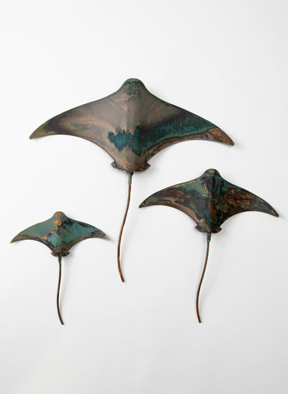 Stingray - Set of 3