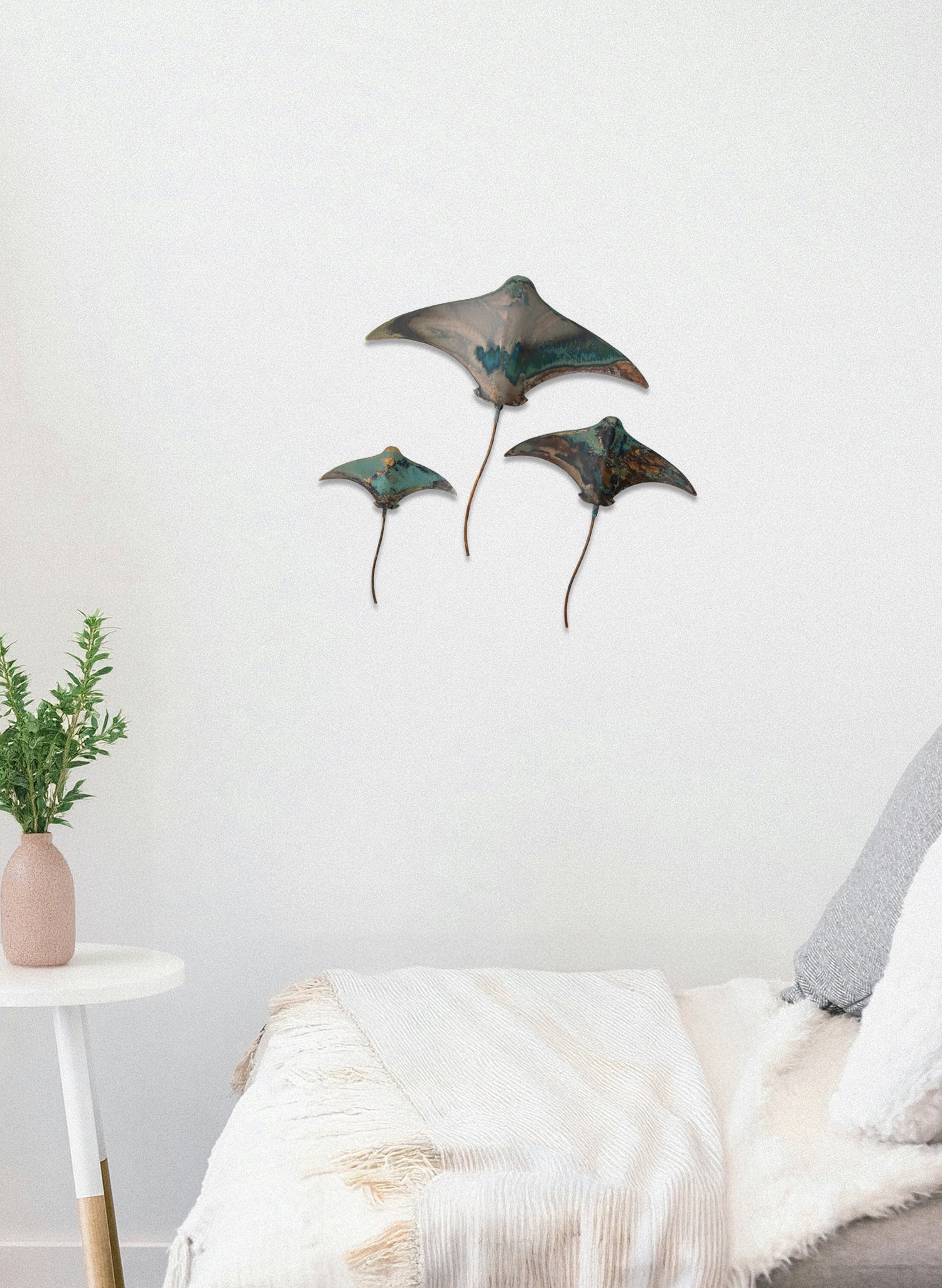 Stingray - Set of 3