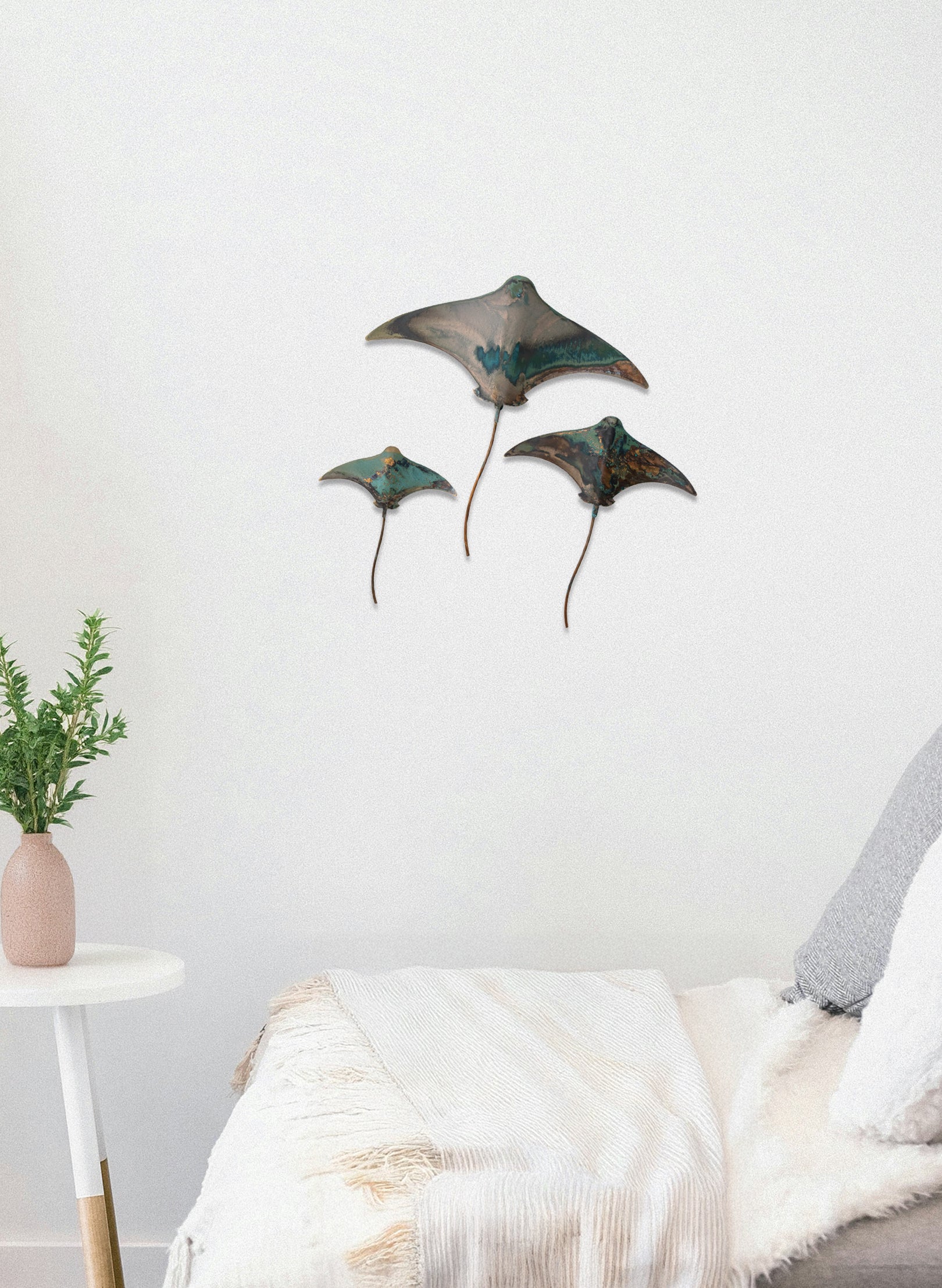 Stingray - Set of 3