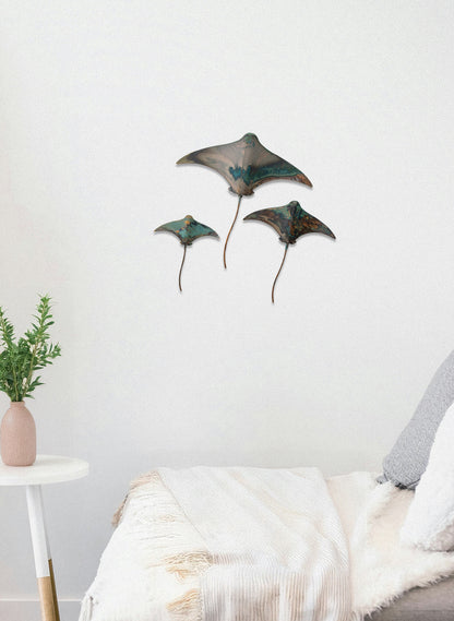 Stingray - Set of 3