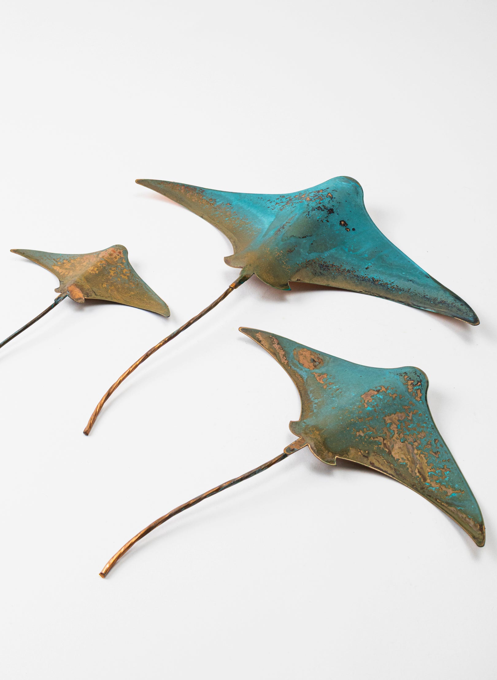 Stingray - Set of 3