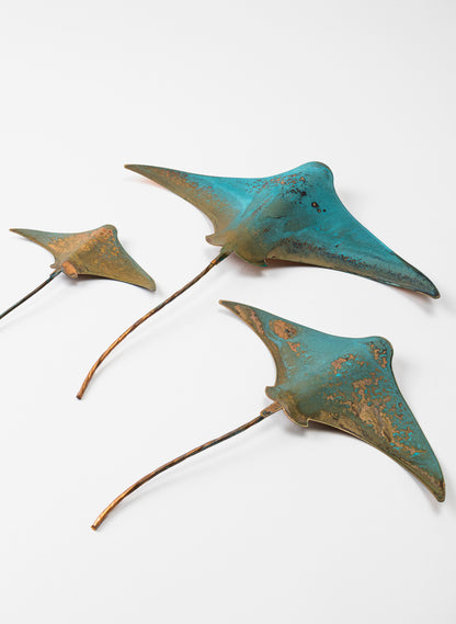 Stingray - Set of 3
