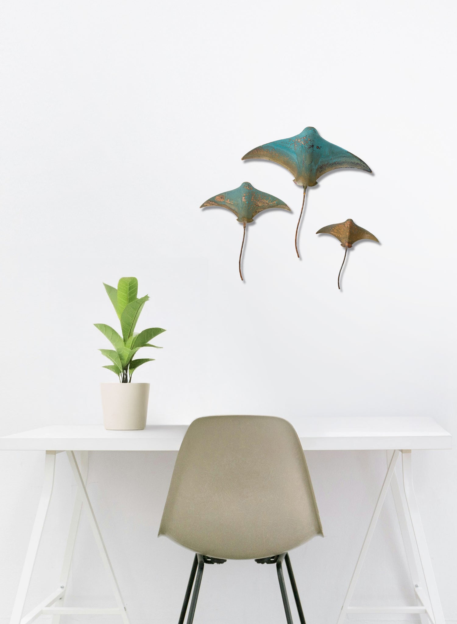 Stingray - Set of 3