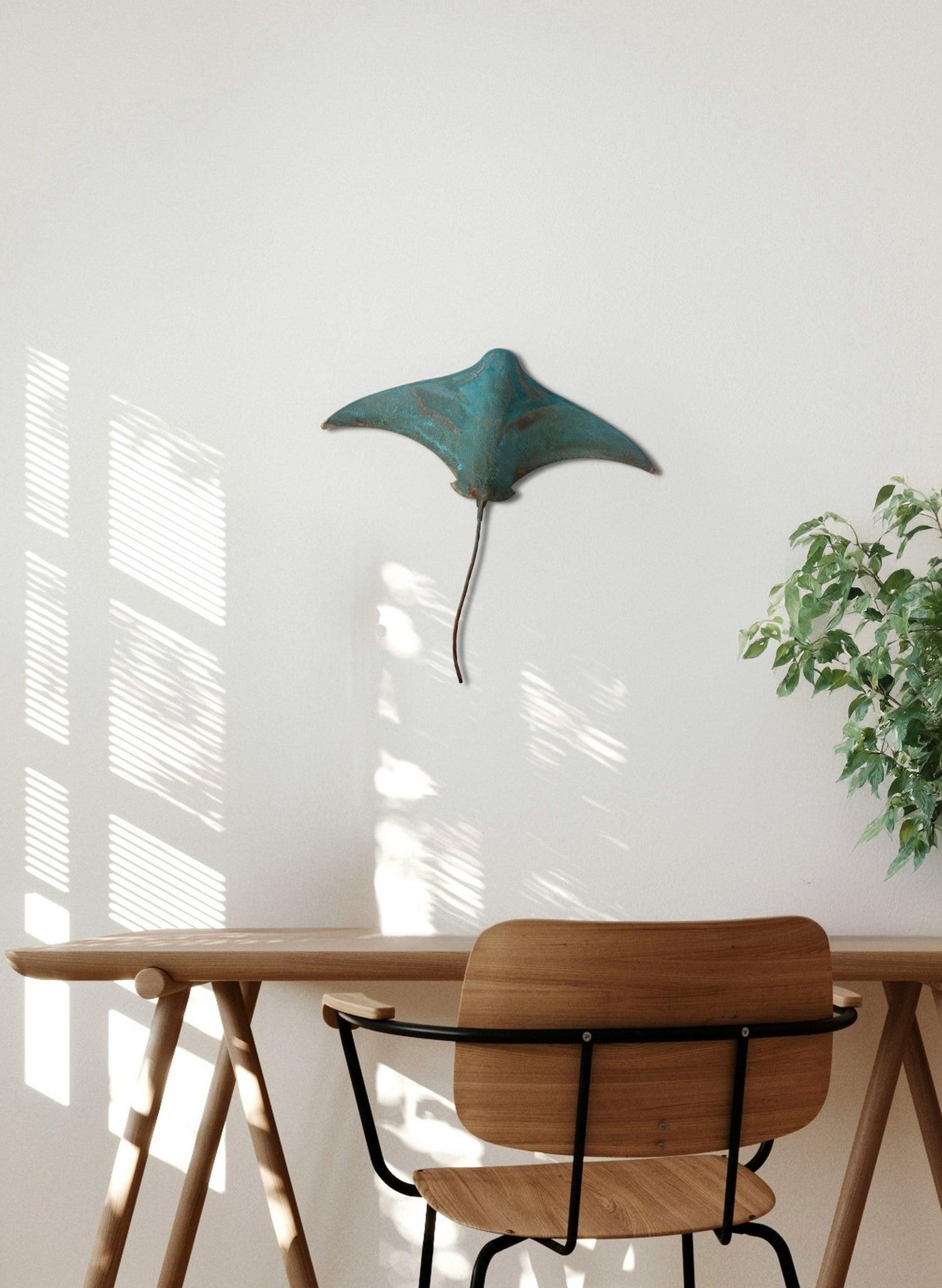 Stingray - Large