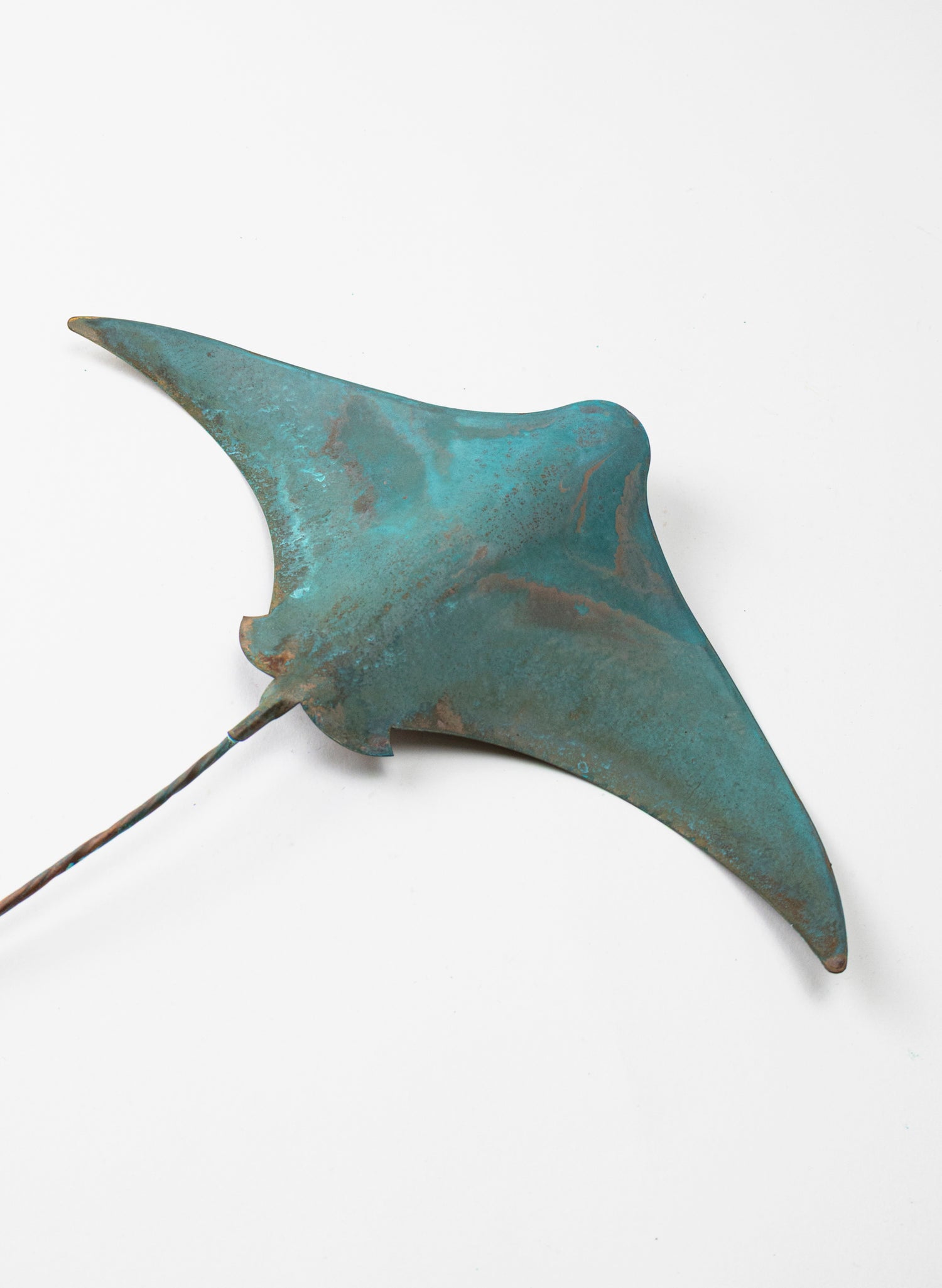 Stingray - Large