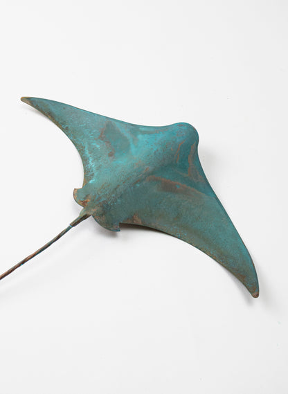 Stingray - Large