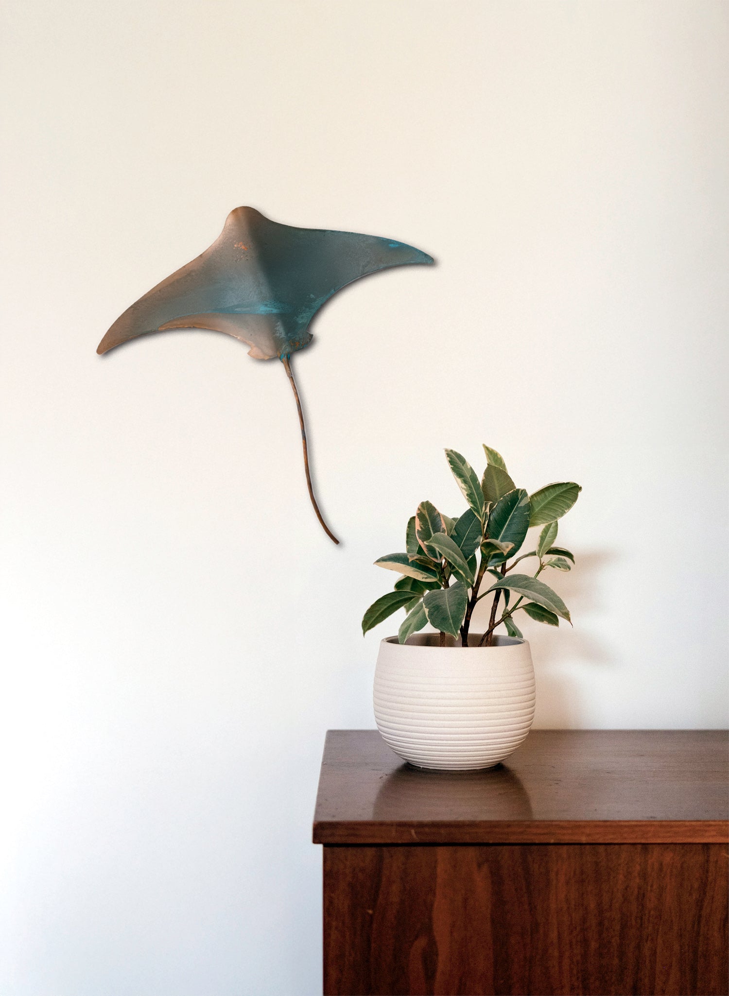 Stingray - Large