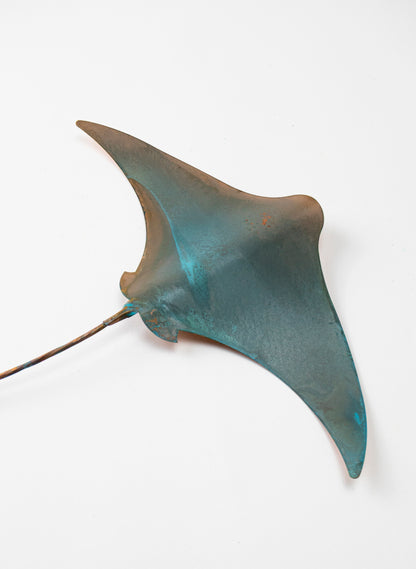 Stingray - Large