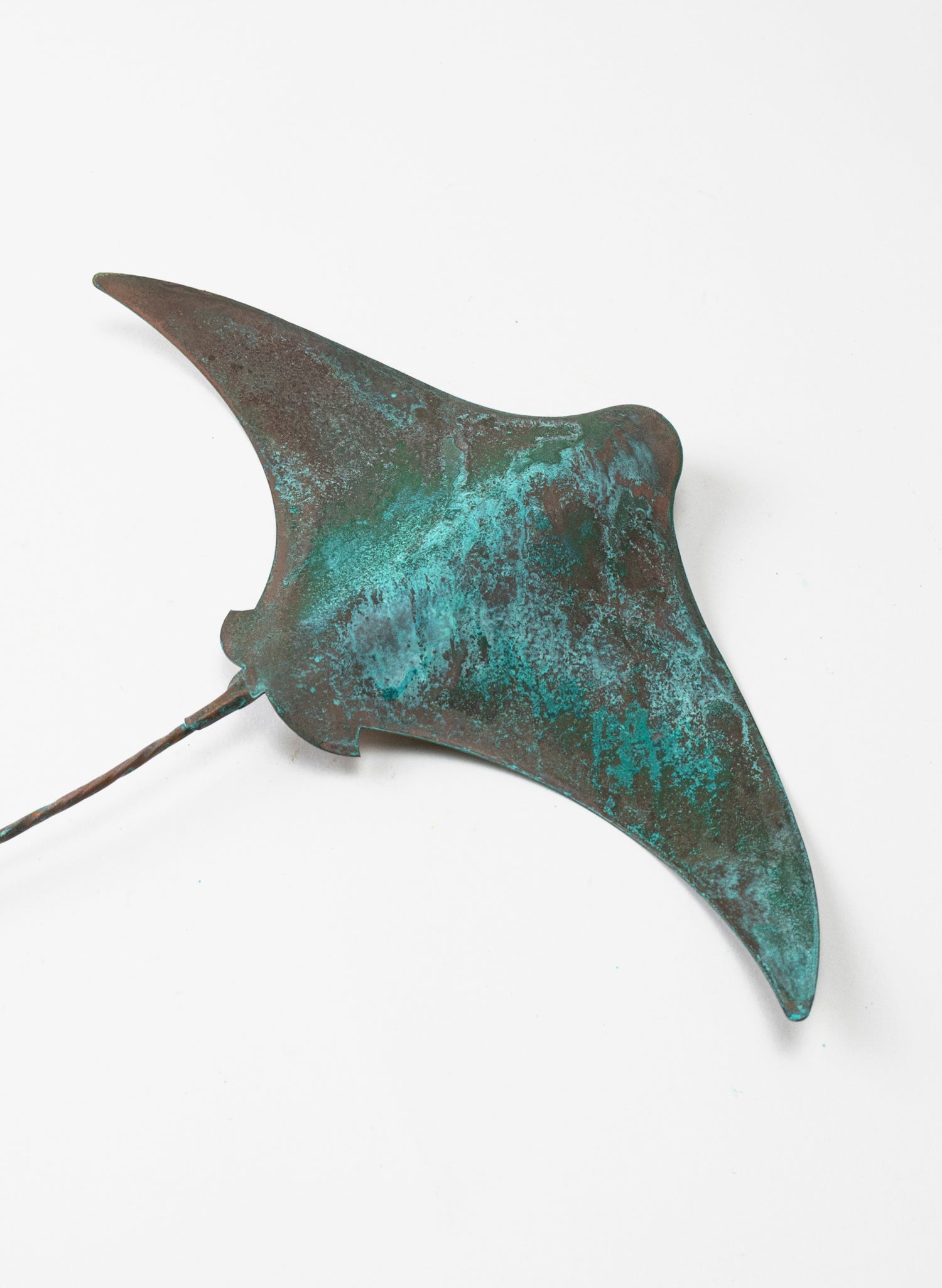 Stingray - Large