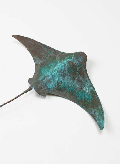 Stingray - Large