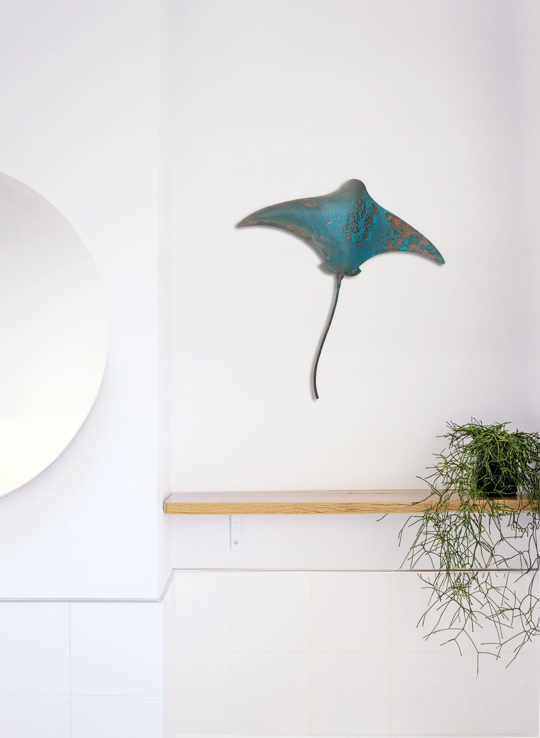 Stingray - Large