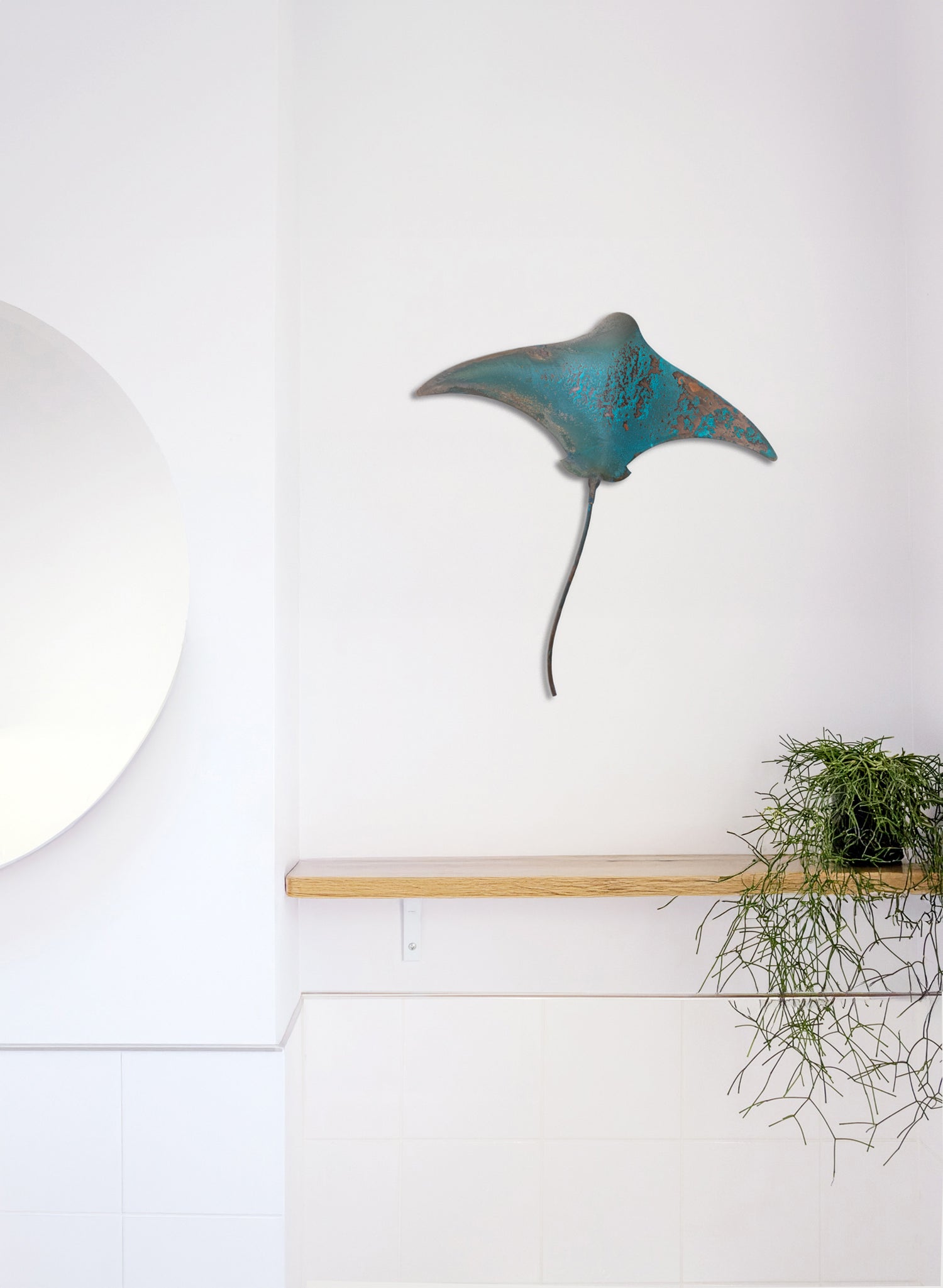 Stingray - Large