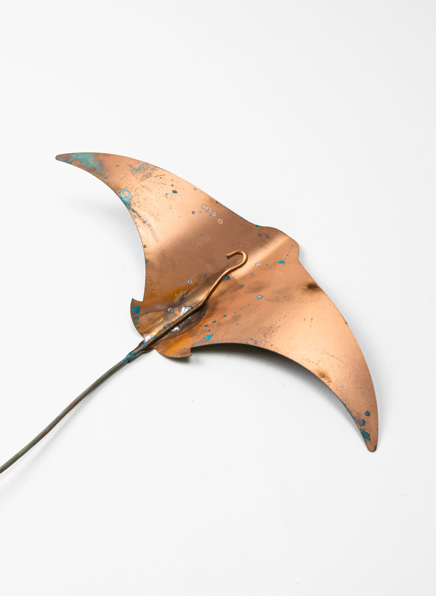 Stingray - Large